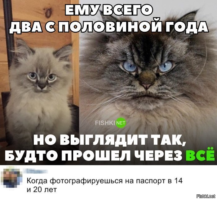Жизненно