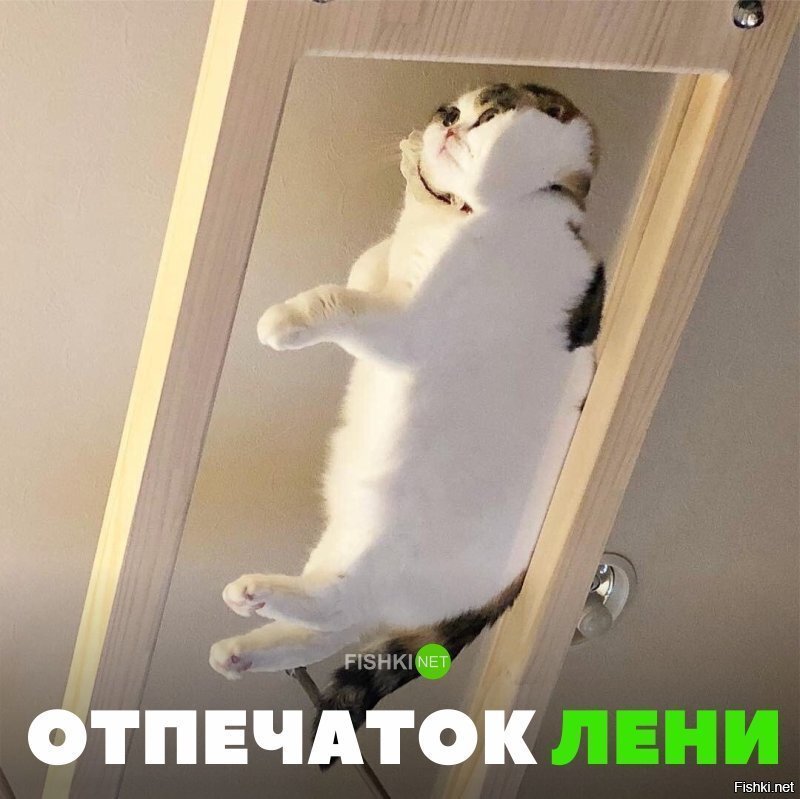 Отпечаток лени