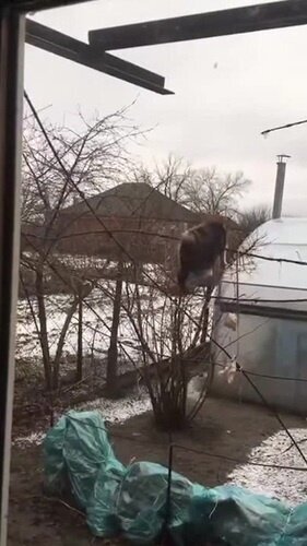 Солянка