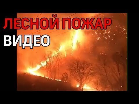 "Словно вулкан": лесной пожар засняли машинисты поезда