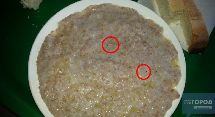что в сталовой в школе дети 5 клас любят жрать от 5класника