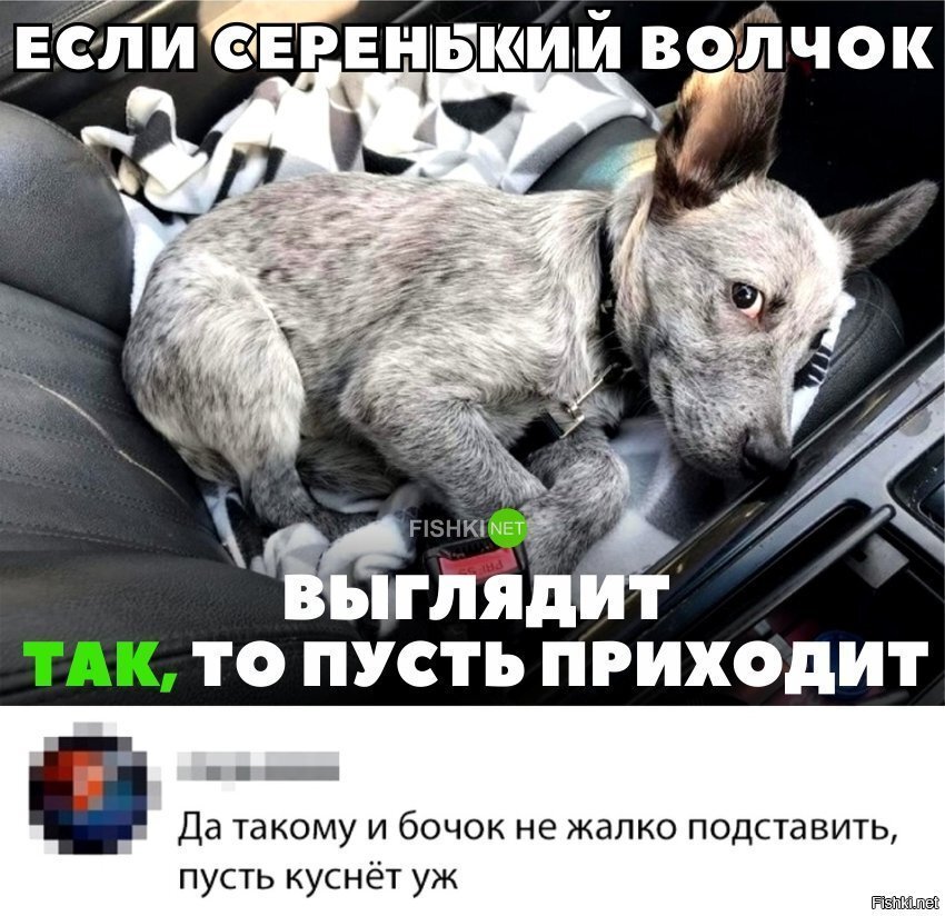 Если серенький волчок такой, то пусть кусает