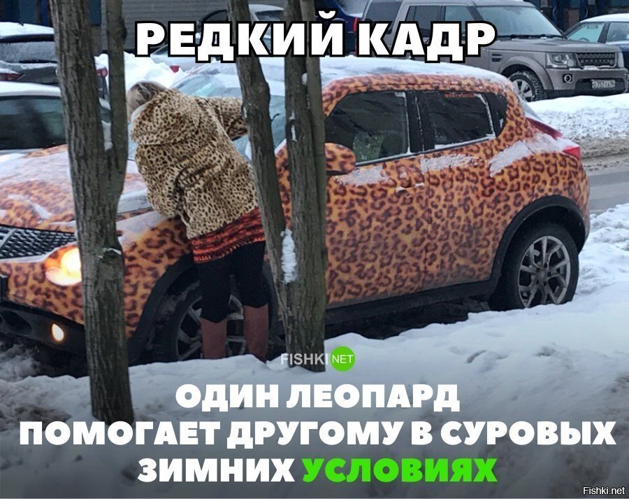 Картинка дня 07-03-2019