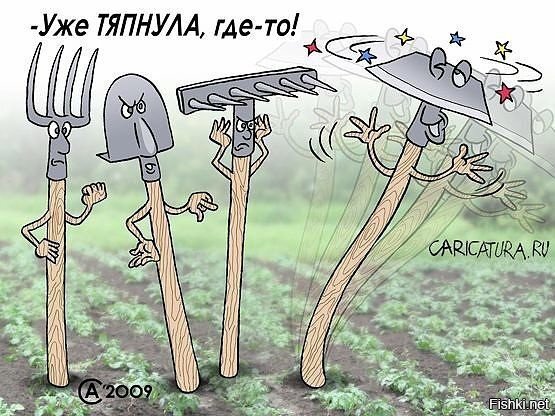 Солянка