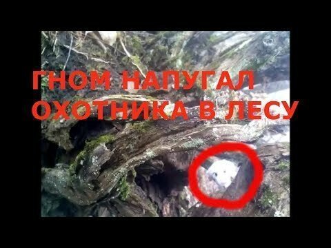 Гном напугал охотника в лесу горах урала утром 14 марта 2019 г