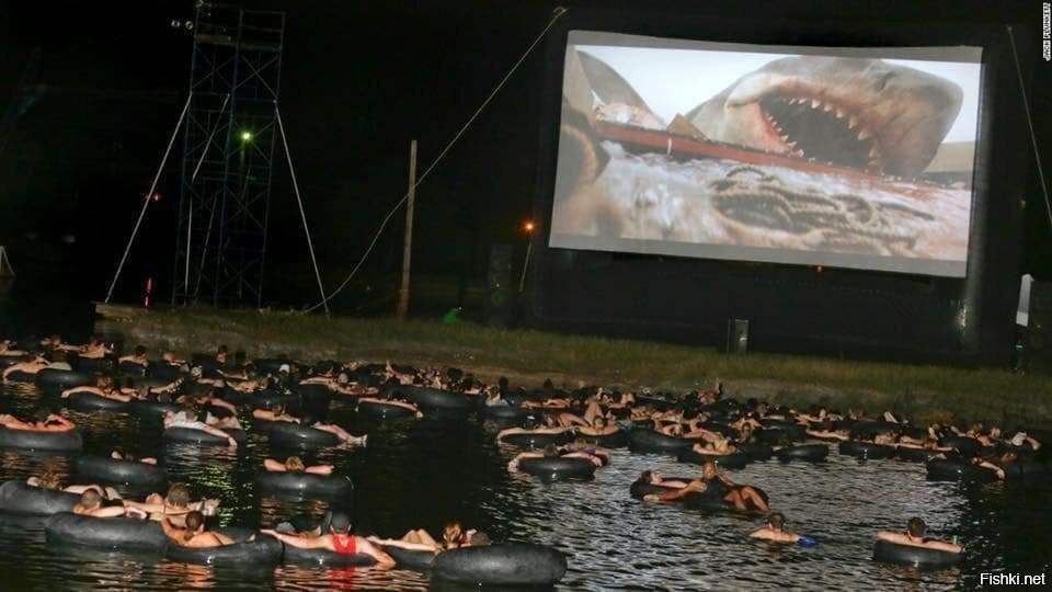 Самый страшный способ посмотреть самый известный фильм об акулах