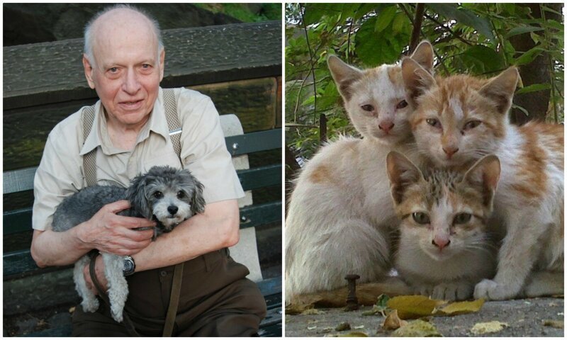 Внук поделился списком животных, которых дедушка приносил домой на протяжении 67 лет