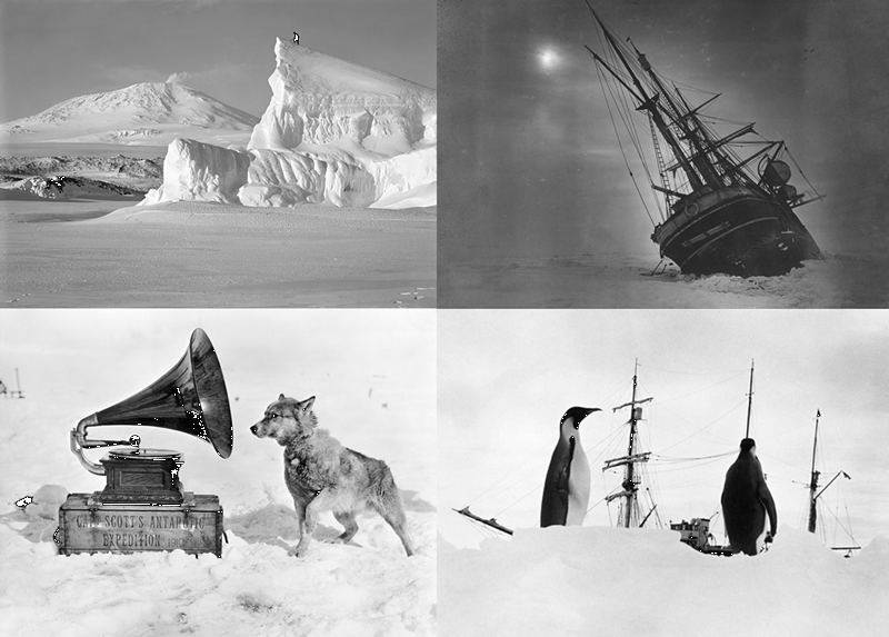 Антарктические экспедиции