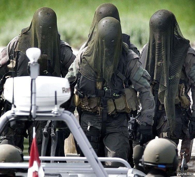 датский спецназ