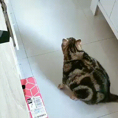 Не в этот раз