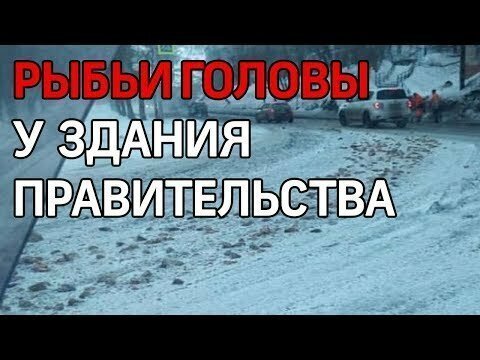 Рыбьи головы и требуху вывалили у здания правительства Камчатки