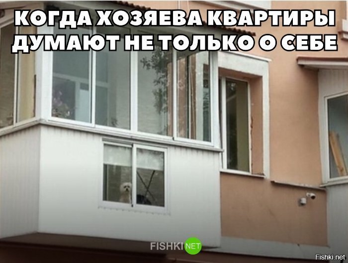 Когда хозяева думают не только о себе