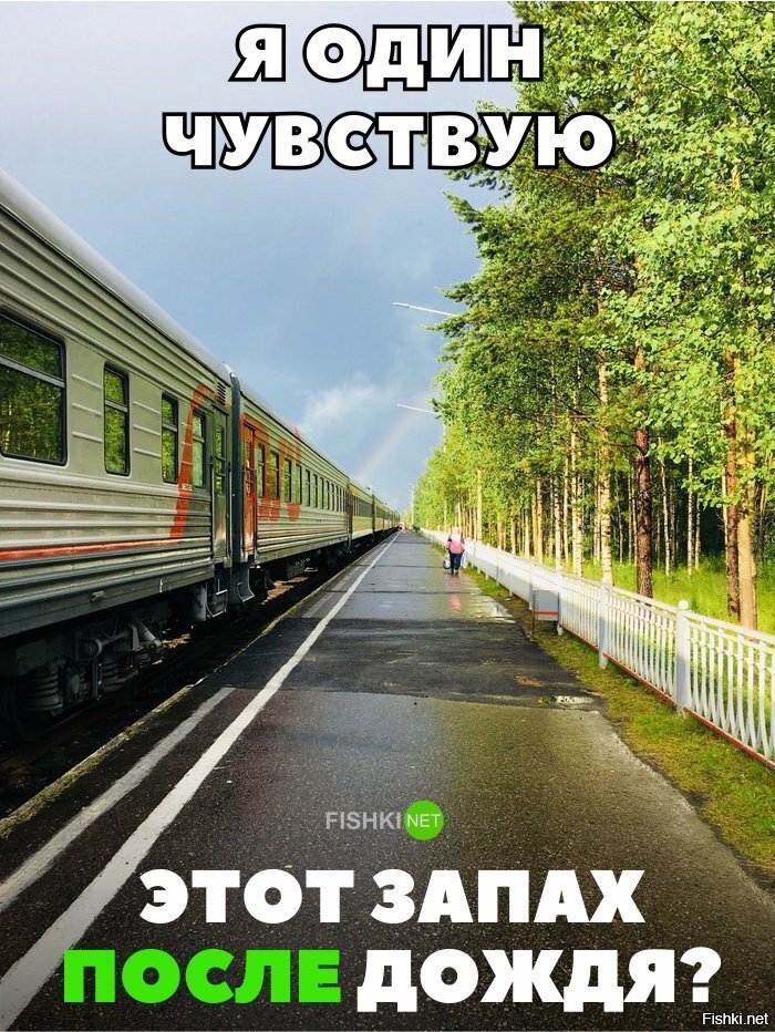 Ох уж этот запах