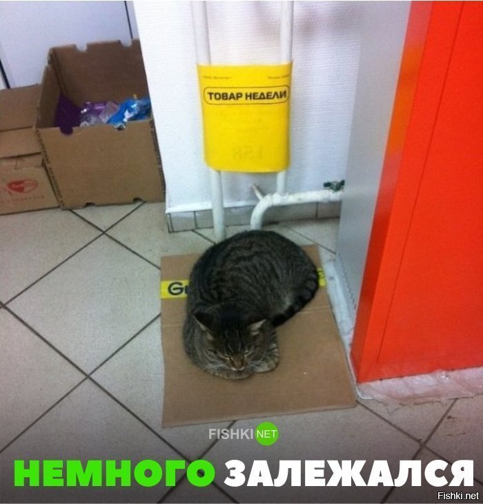 Немного залежался