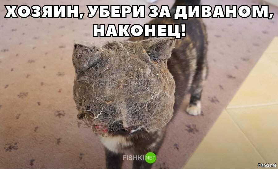 Хозяин, убери за диваном