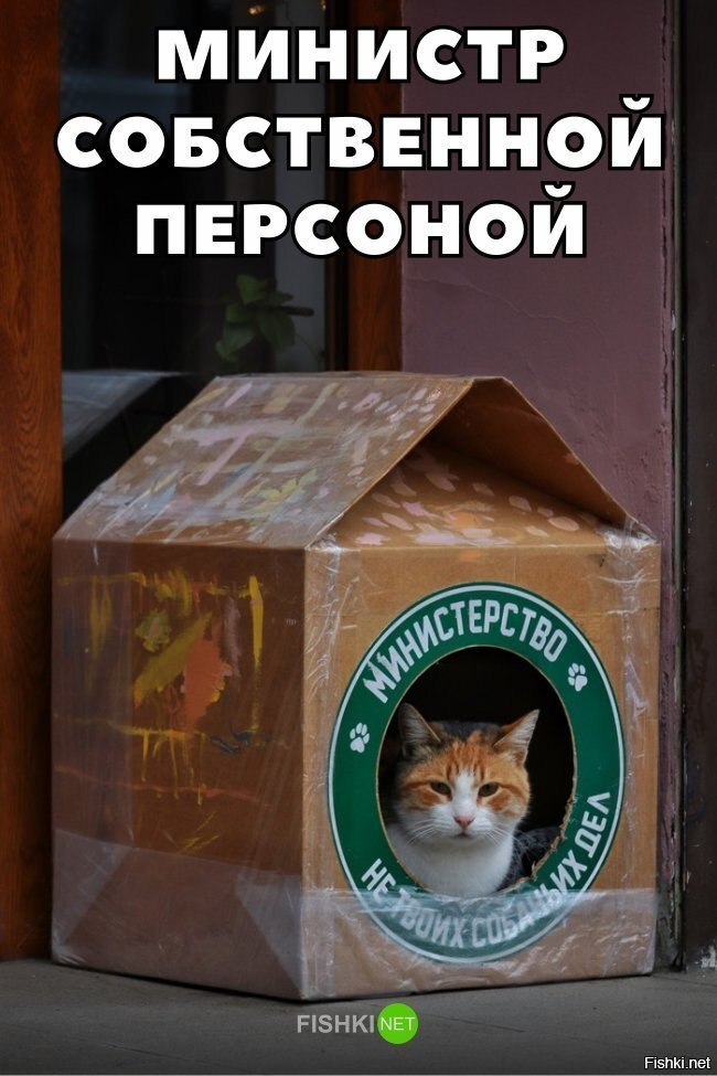 Министр собственной персоной