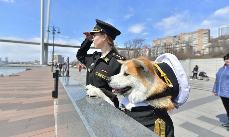 Утренняя подборка картинок