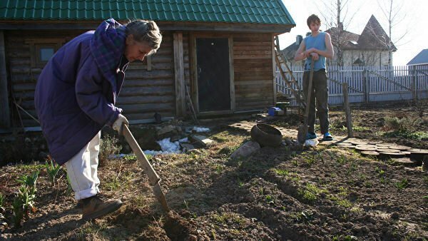 Огородная болезнь. Как можно подорвать здоровье на садовом участке