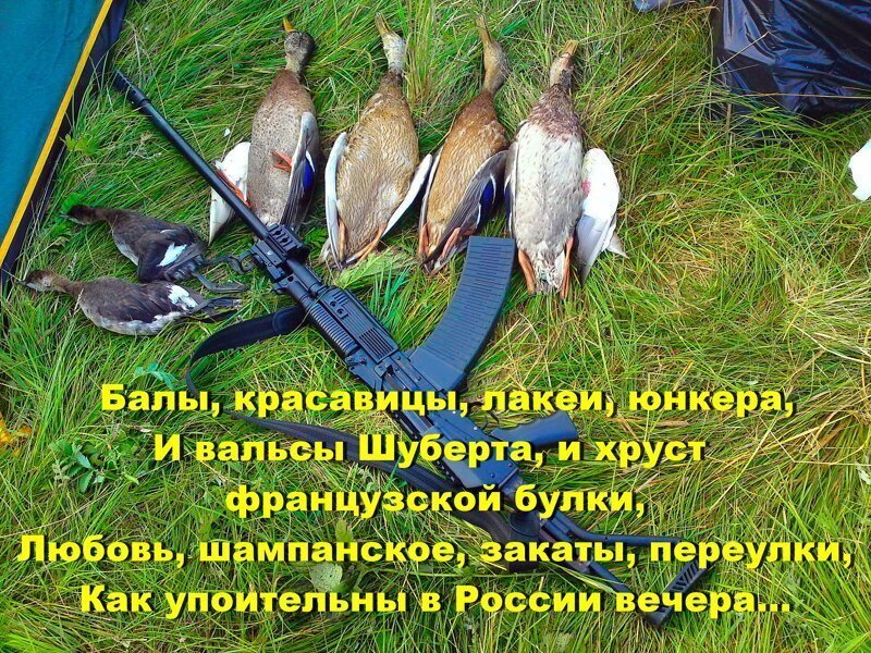 Уровень докладов ЦРУ президенту США дошёл до уровня мёртвого Бабченко в луже свинской крови