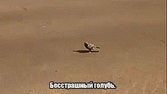 Подборка оригинальных гифок 