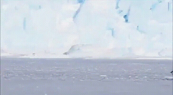 - Кто шагает дружно в ряд
