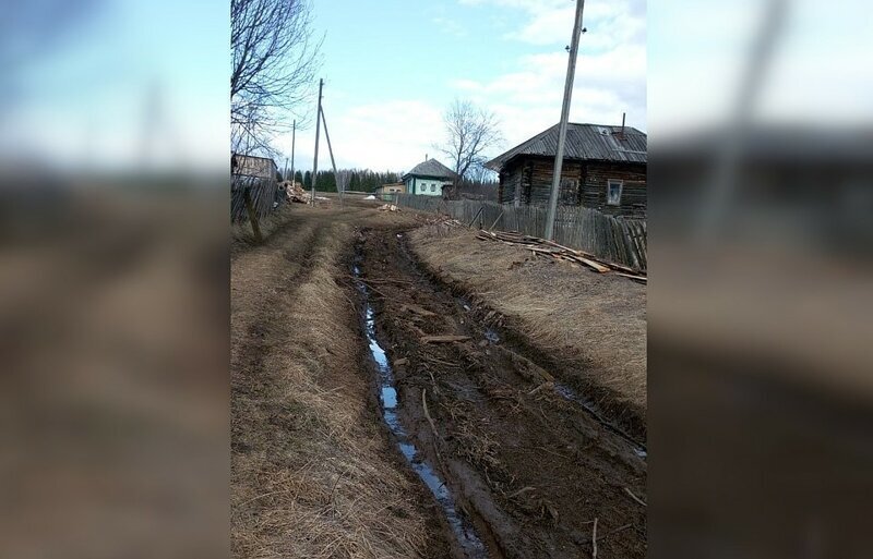 В этой новости прекрасно всё