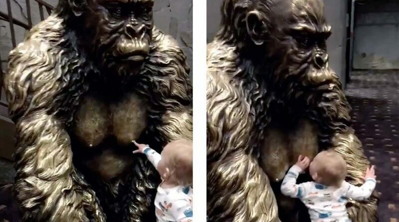 Потешное видео, в котором голодный малыш решил испить молока у статуи гориллы