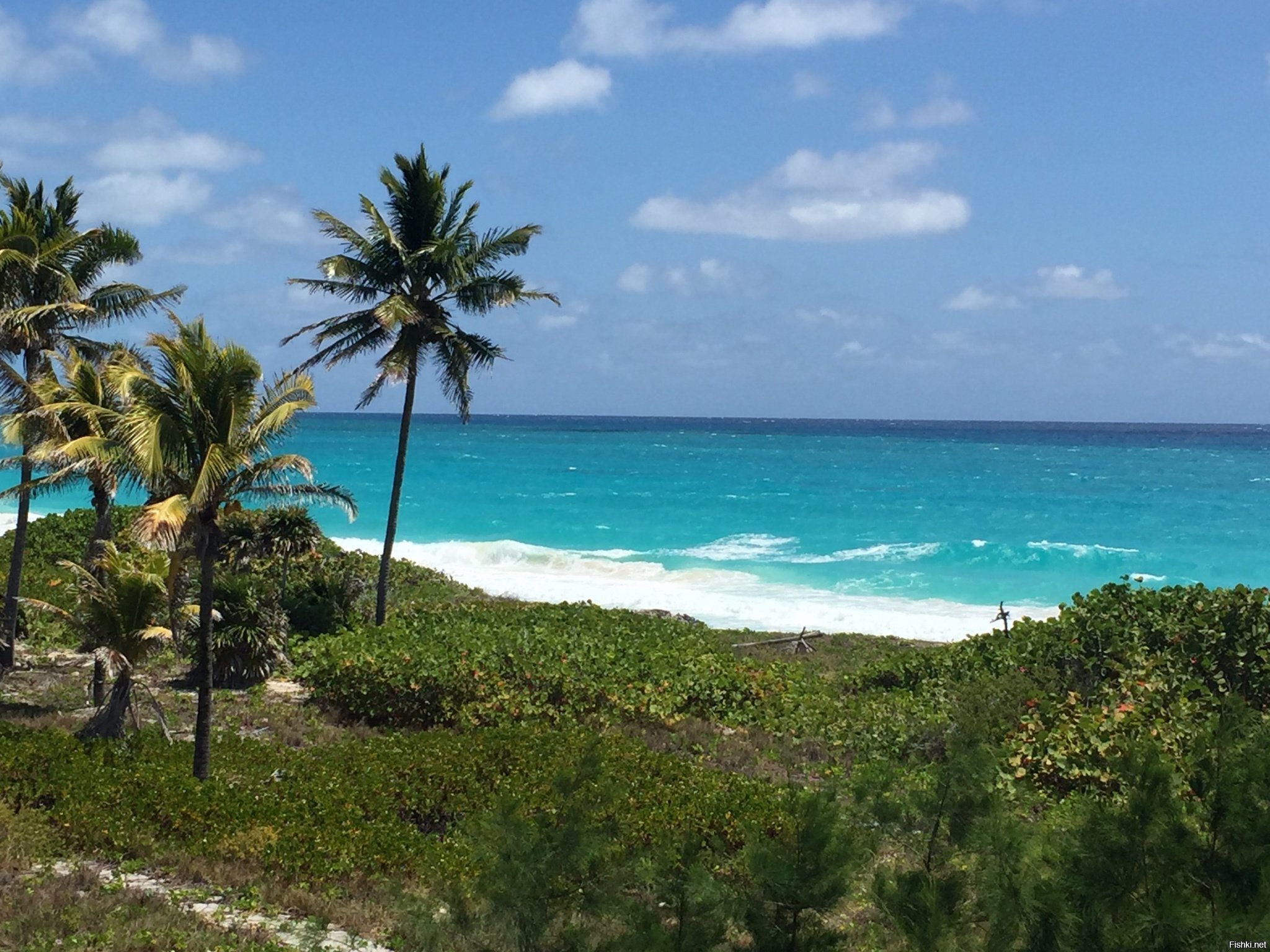 Cuba Cayo Largo