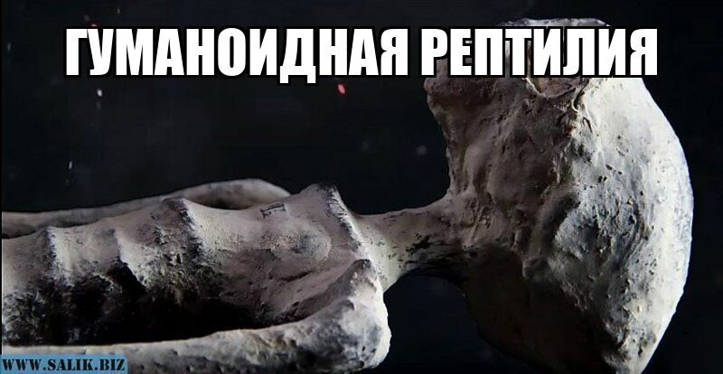 Гуманоидная рептилия - детальный анализ мумий инопланетян найденных на плато Наска
