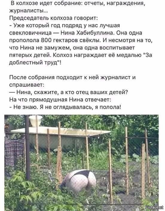 Солянка