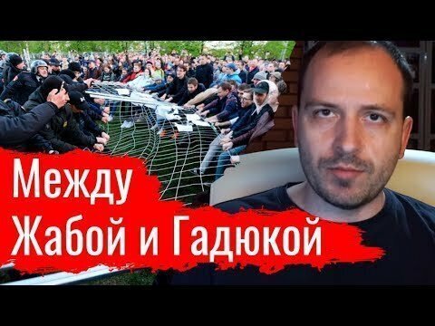 Между Жабой и Гадюкой. Злоба дня