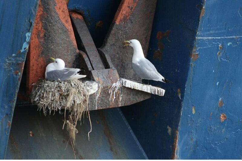 Ремонт немного затянулся. От МОРЯК SEALAND
