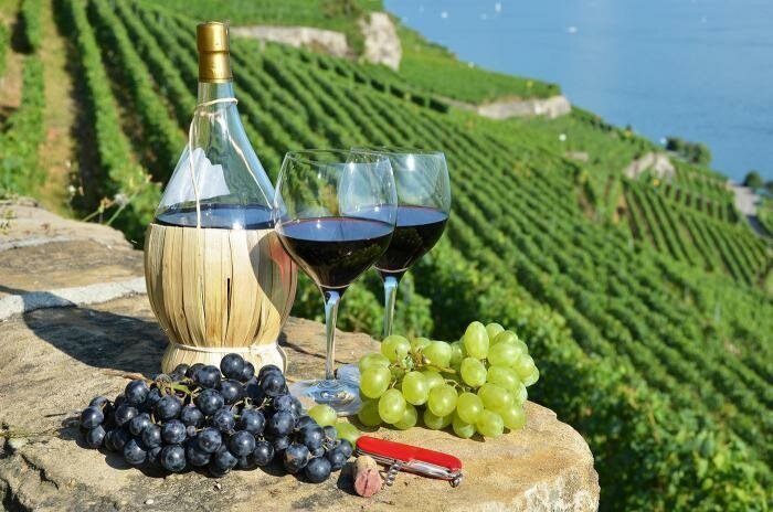 Подборка интересных фактов о виноделии в Италии