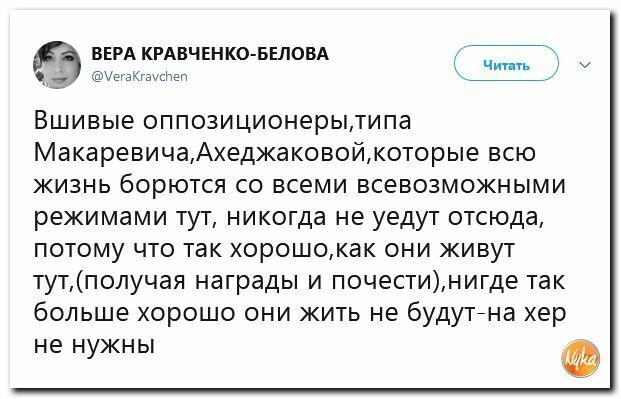 Политические картинки