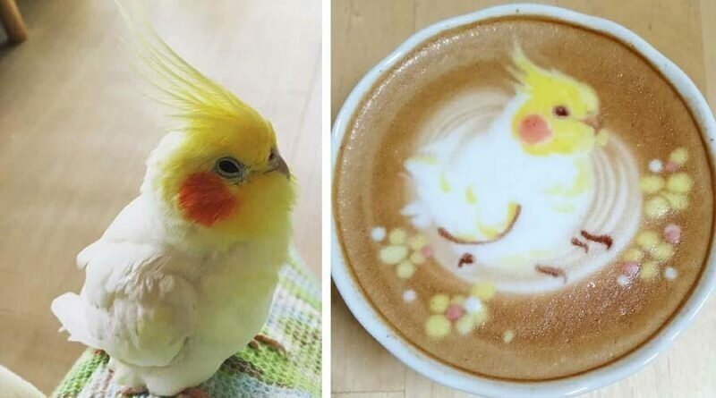 Потрясающие изображения птиц, выполненные на кофейной пене