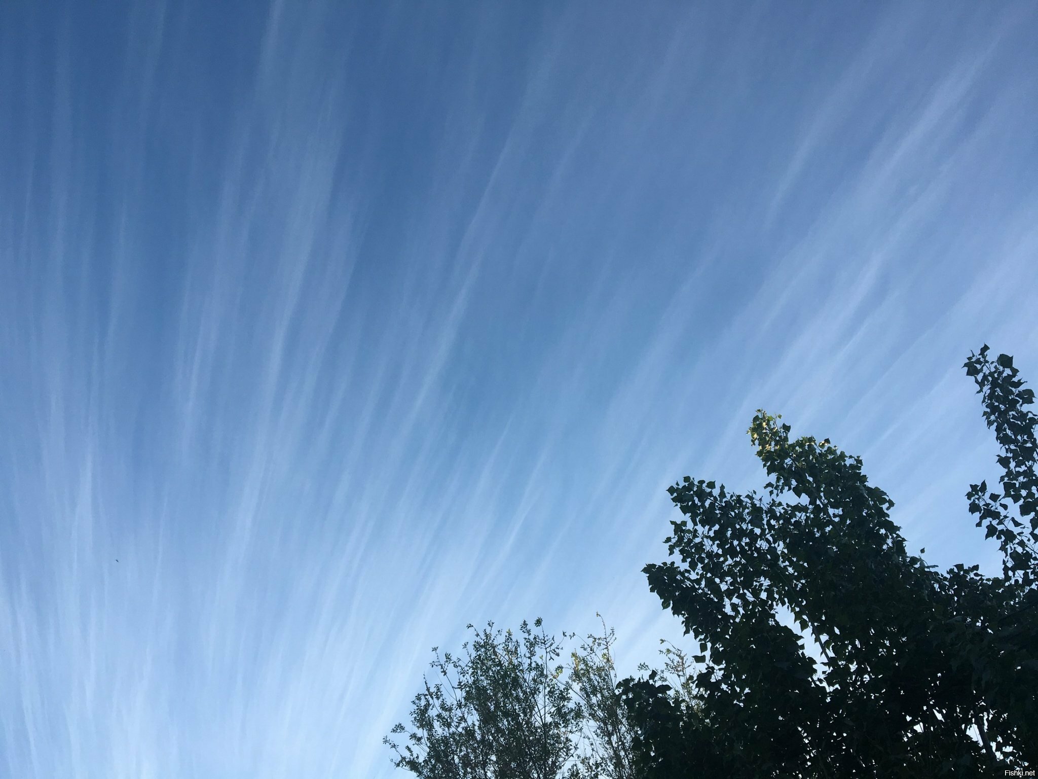 Небо в полосочку 30