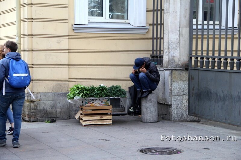 Бродя по Санкт-Петербургу