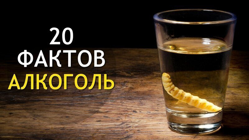 Топ-20 фактов о "горячительных" напитках