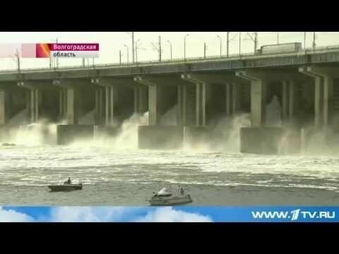 В Волгоградской и Астраханской областях засуха