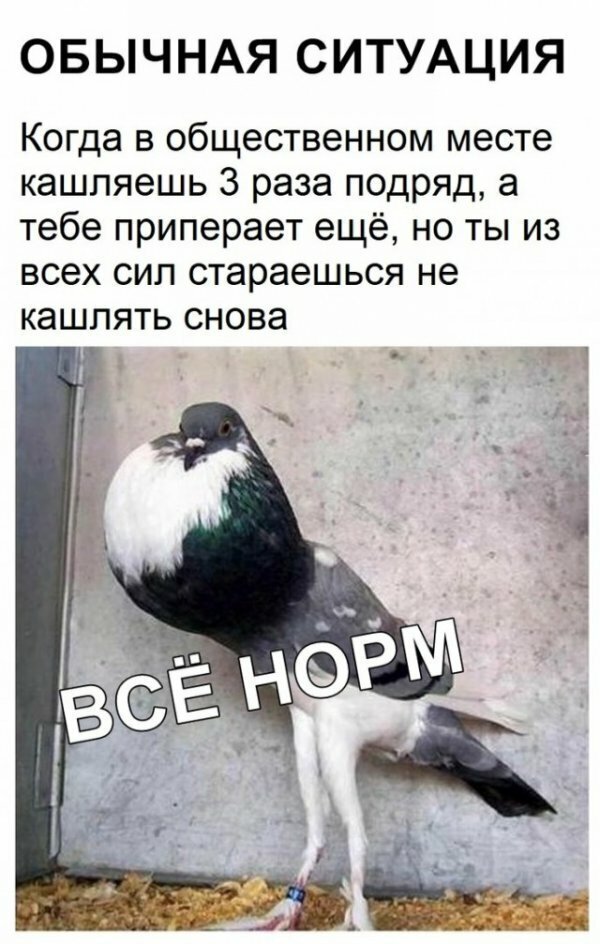 Картинки с надписями