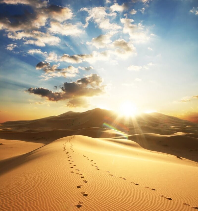 Что вы могли не знать о пустыне Сахара