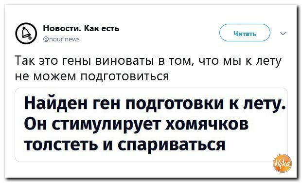 Политические картинки