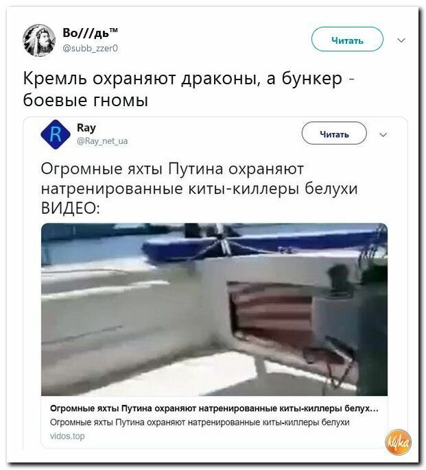 Политические картинки