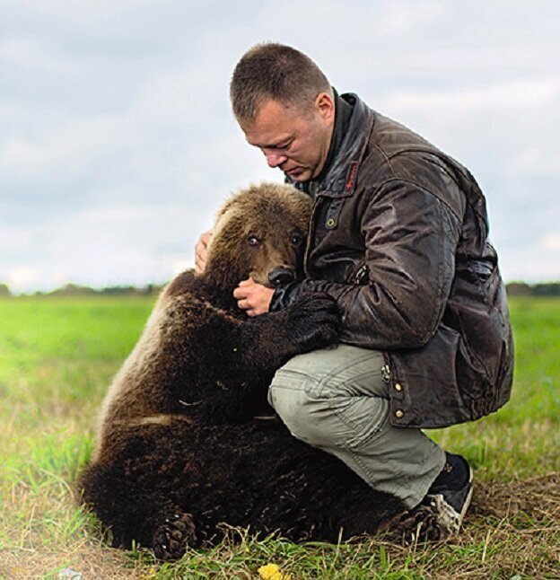 Бурого медведя спасла команда летчиков