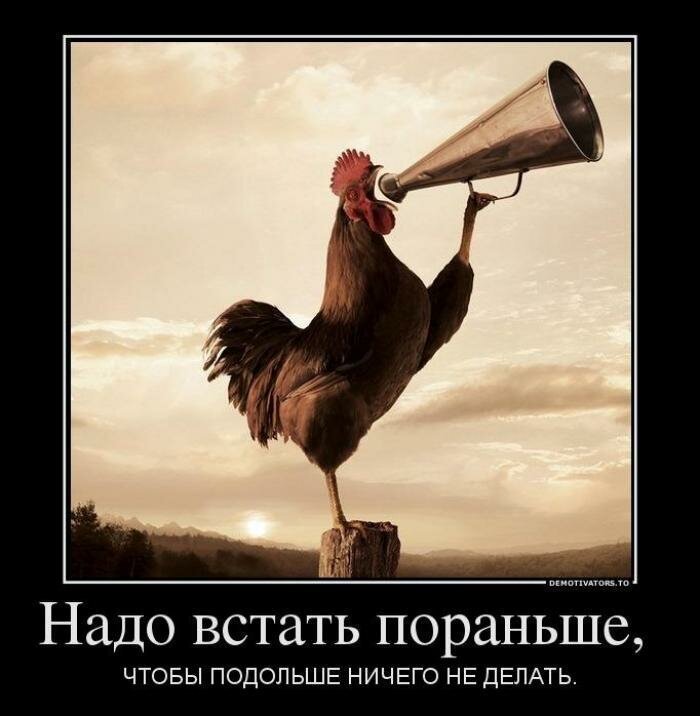 Демотиваторы