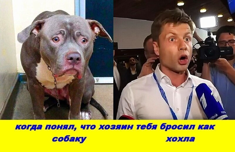 Воспитание жестокости у краинцев и зевак