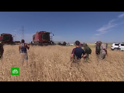 Волгоградские фермеры с вилами и лопатами встали на защиту своего урожая