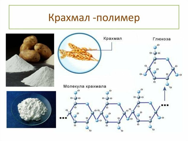 В Липецкой области дан старт строительству завода по производству биопластика из пшеницы