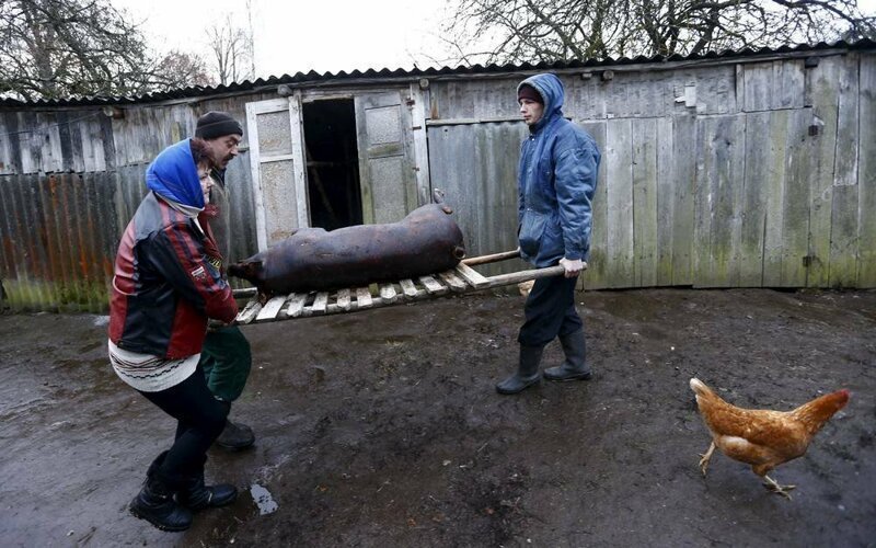 Негламурная жизнь