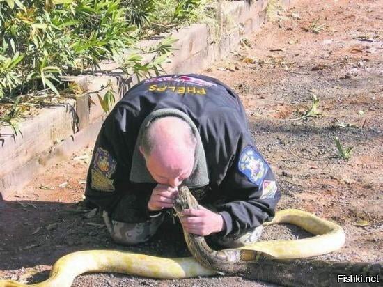 Пожарный делает искусственное дыхание змее, которая надышалась угарного газа